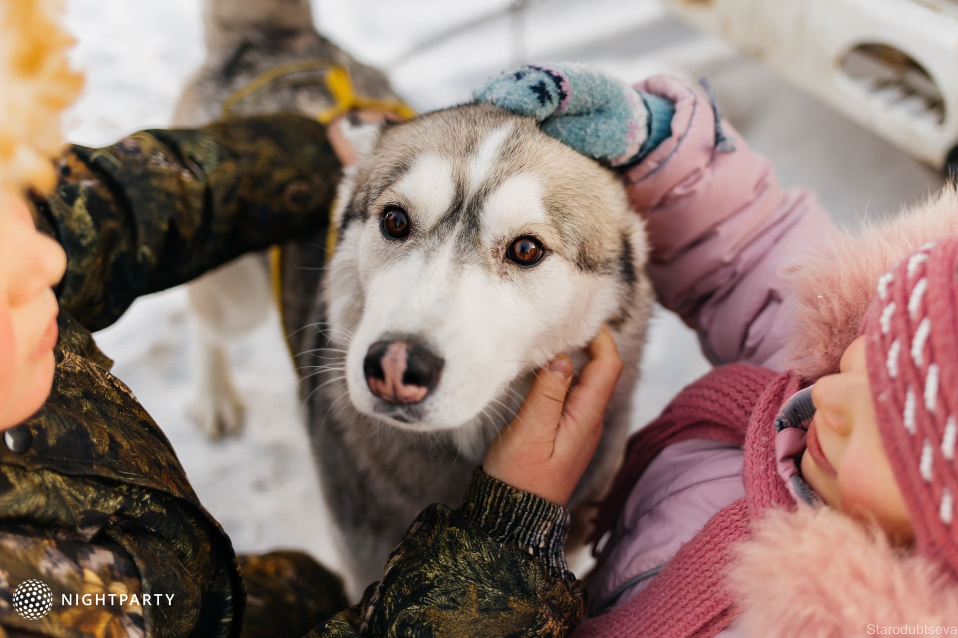 Фото с Нового Года